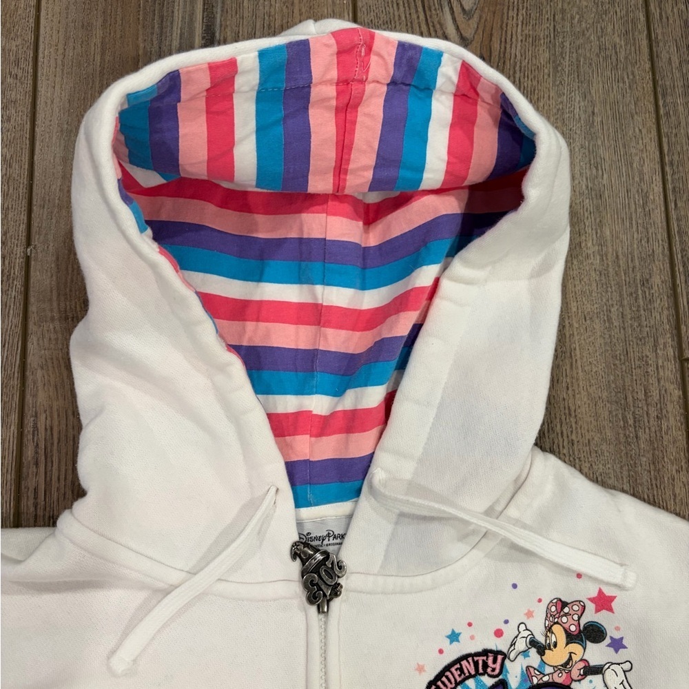 Disney Parks Youth Large 2013 Disneyland Resort Anniversary Zip Hoodie - Picture 8 of 14